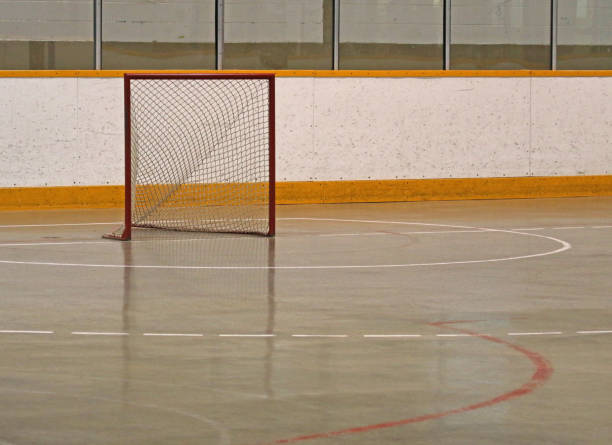 A Lacrosse net sitting in an empty box.